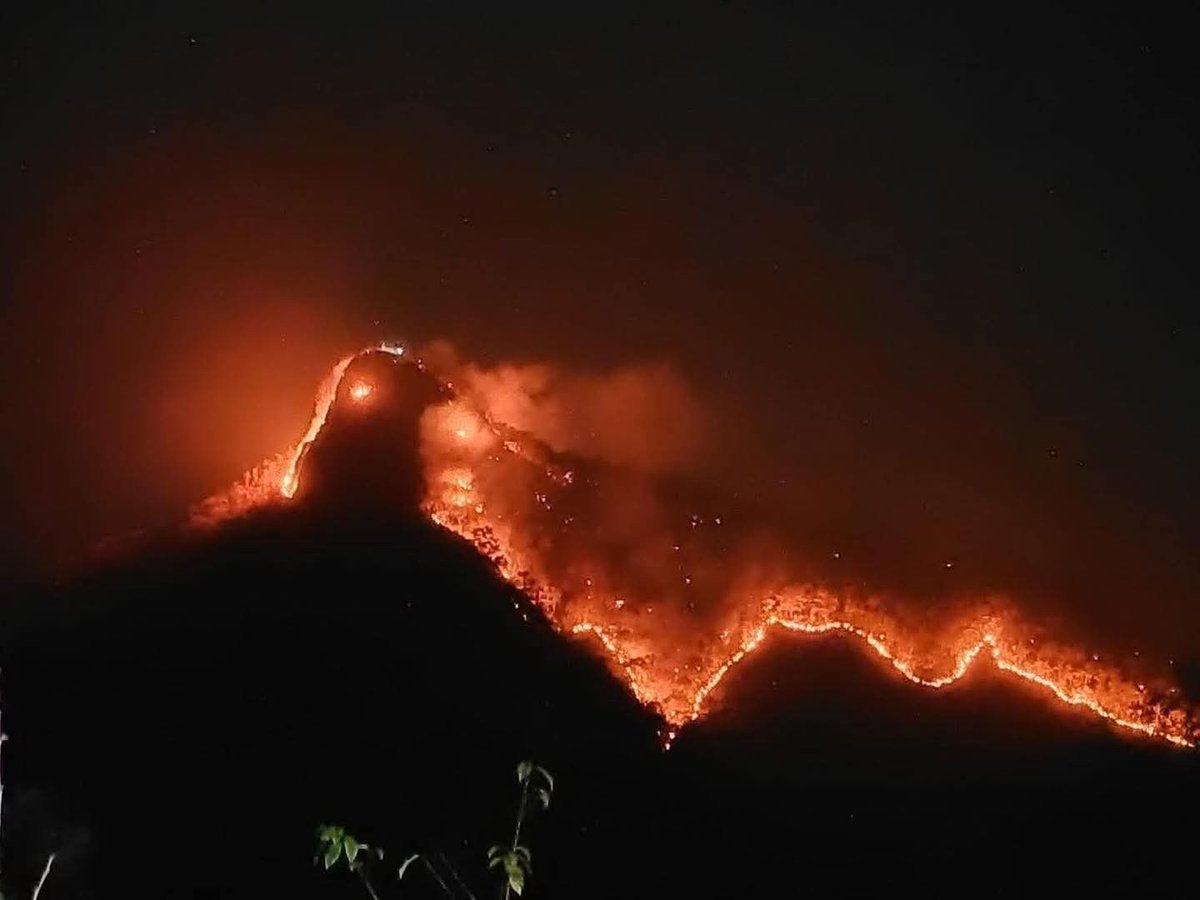 JS100Radio tweet media