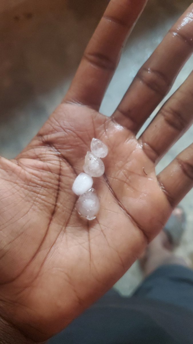 Solking 💜🕸️(Wayward arc) tweet media