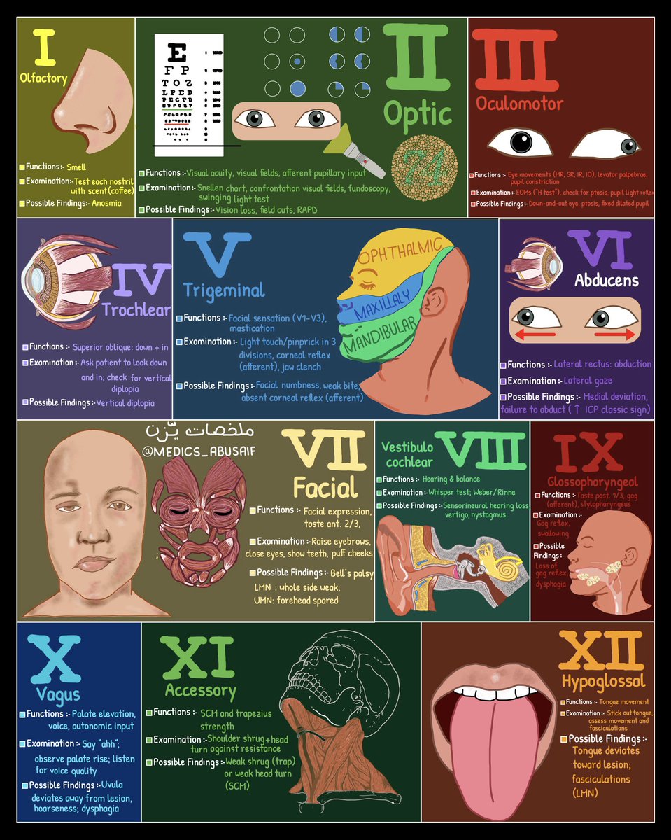 يـزّن الغماس tweet media