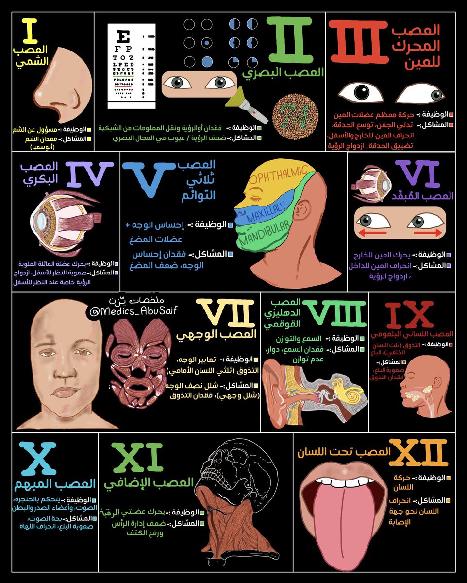 يـزّن الغماس tweet media