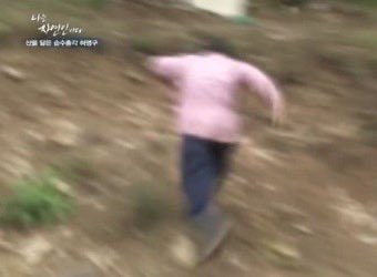 돌가락지🪨💍 tweet media