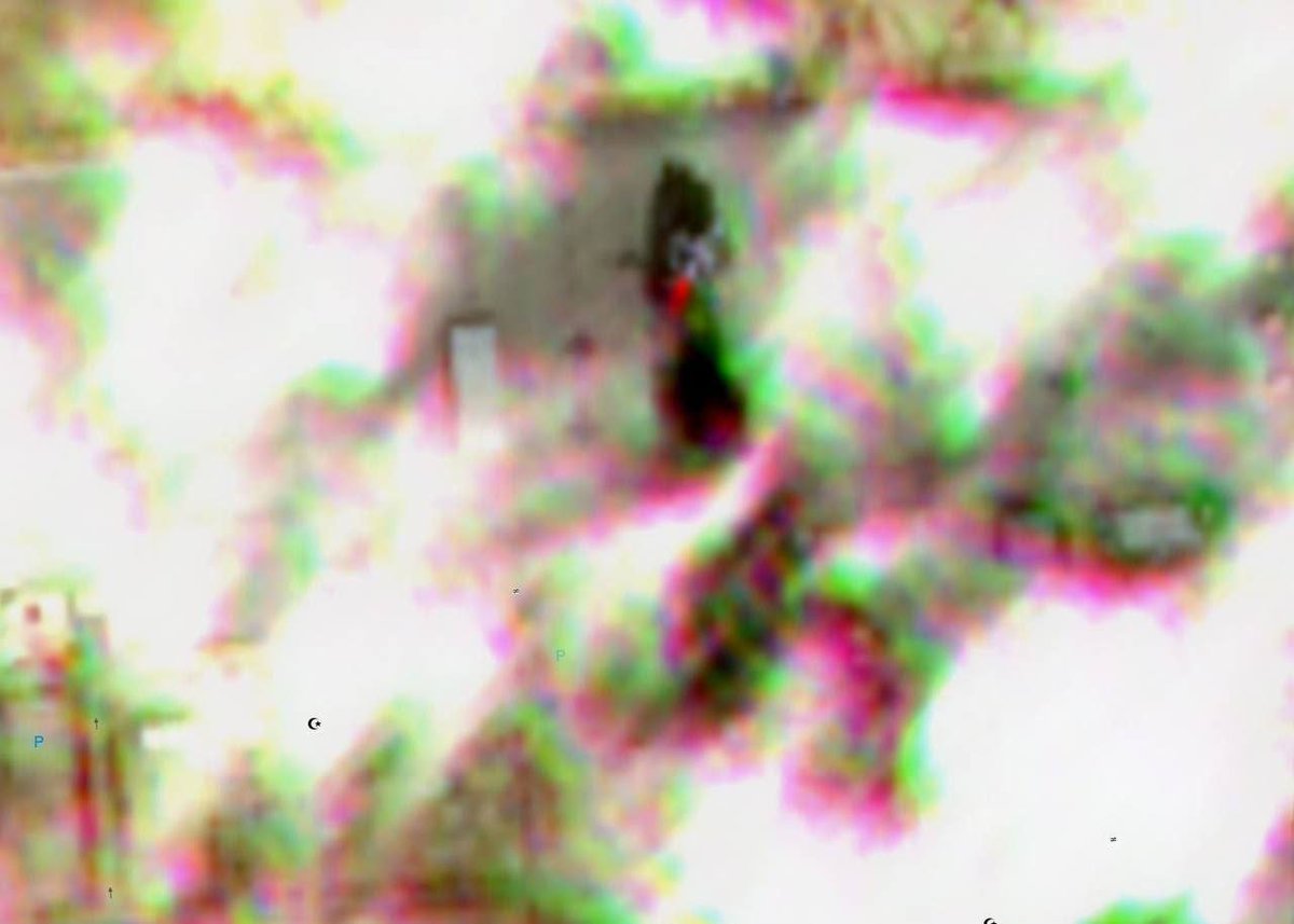 AHMAD SLMAN tweet media