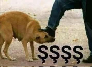 emems 🇦🇷 tweet media