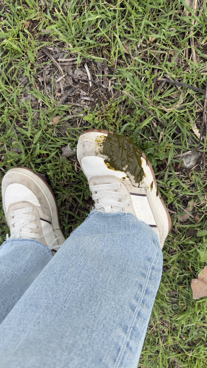 Myushuviku tweet media