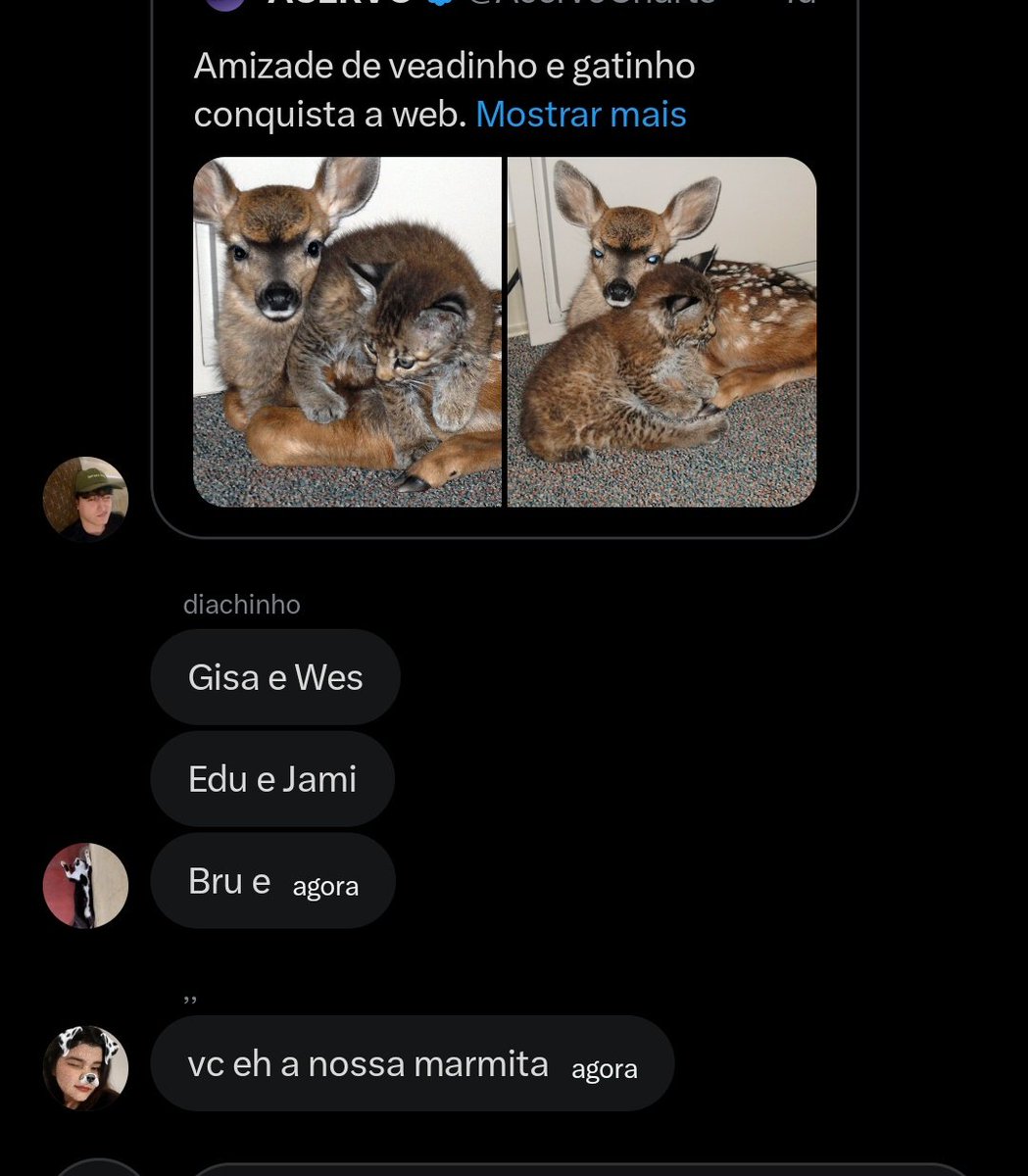 bruninho tweet media