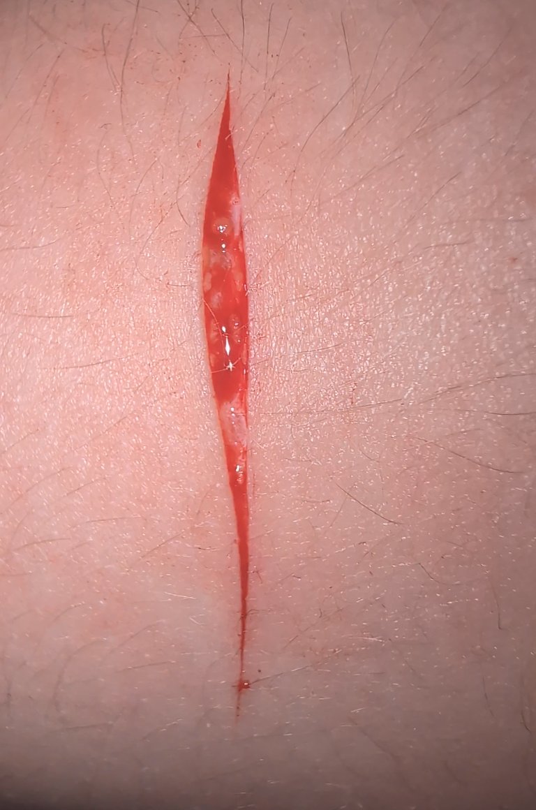 ☆silent bob of shedwt☆ tweet media