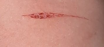 ☆silent bob of shedwt☆ tweet media