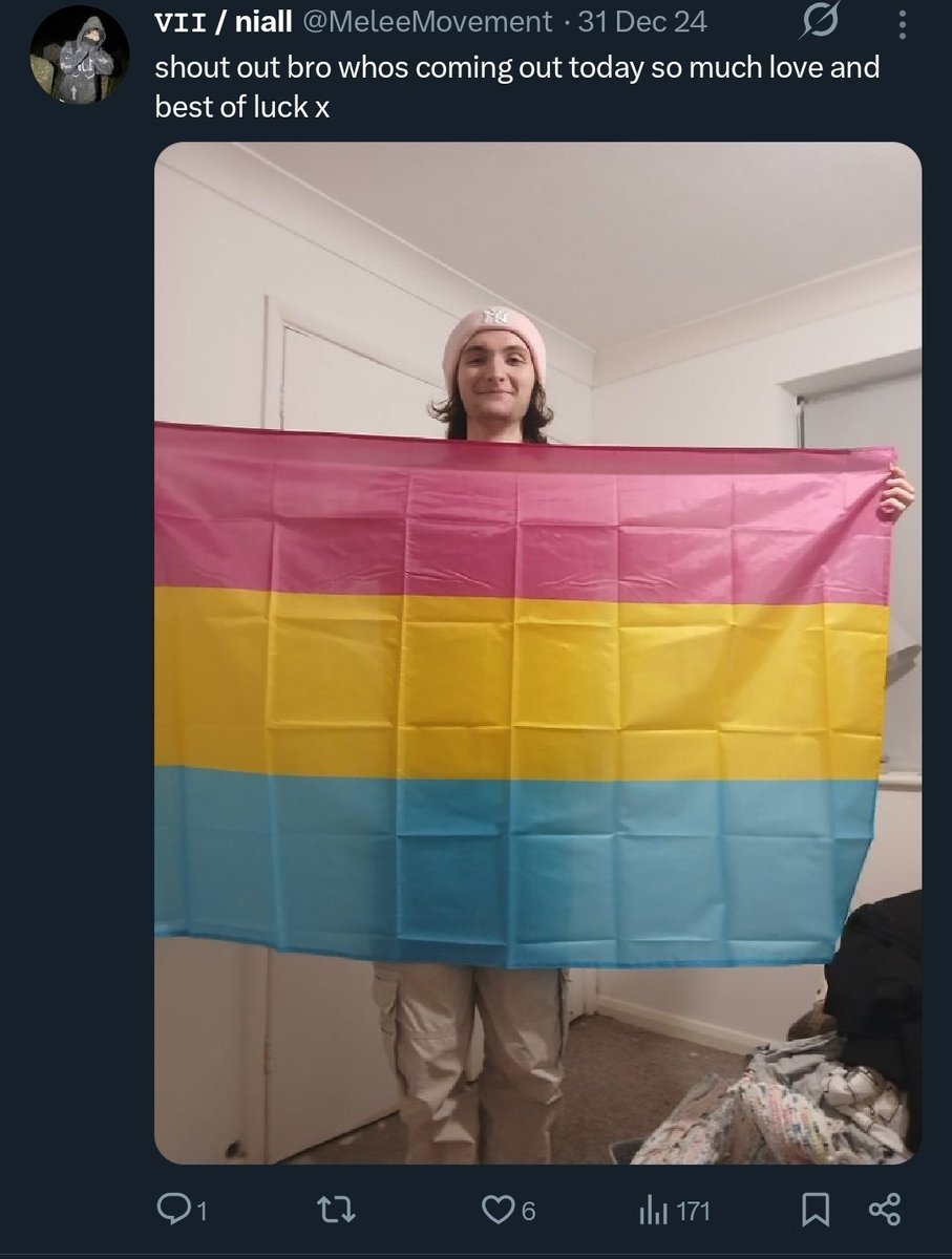 𝚅𝙸𝙸 / niall tweet media