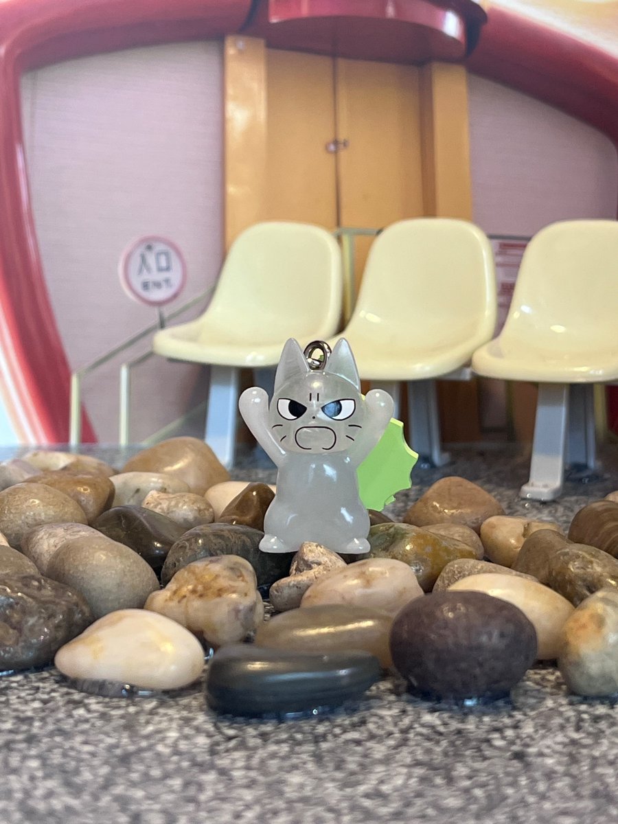 Yuz♡Chu-Hapi🌟NIG2026 tweet media