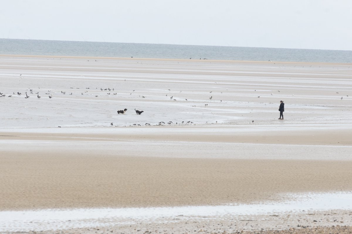 Chris Mills tweet media