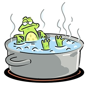 100% fed up tweet media