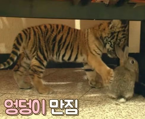 알헤🦋D+2500 tweet media