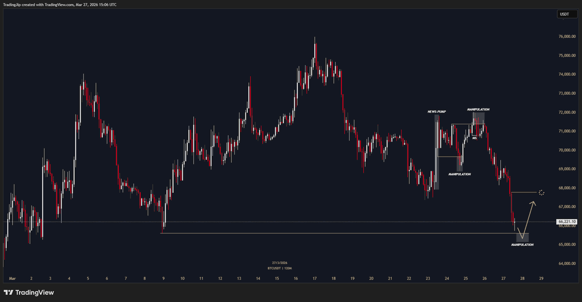 Jip Molenaar tweet media