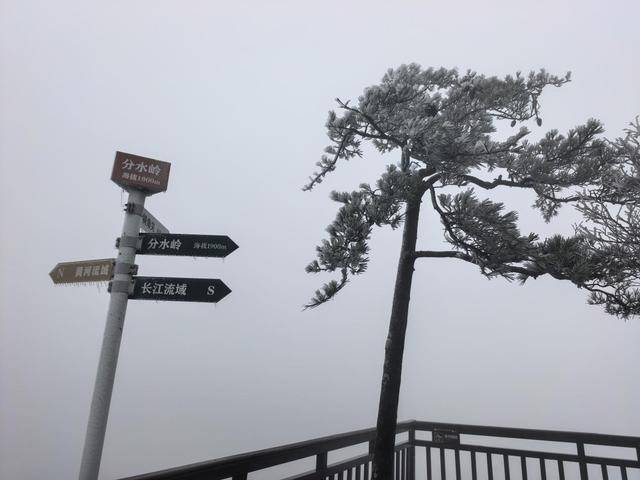 MrSamuel tweet media