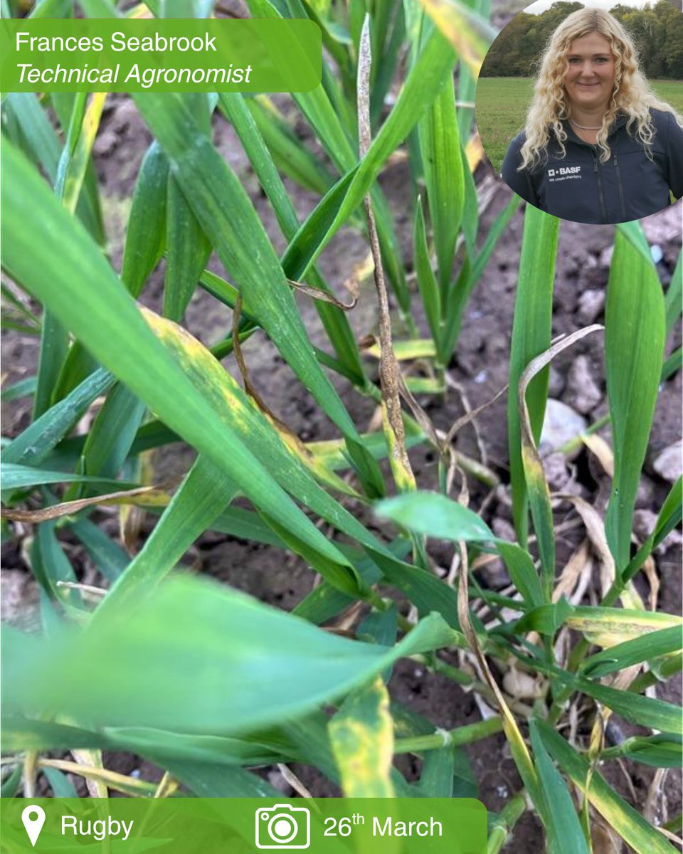 BASF Agricultural Solutions UK tweet media