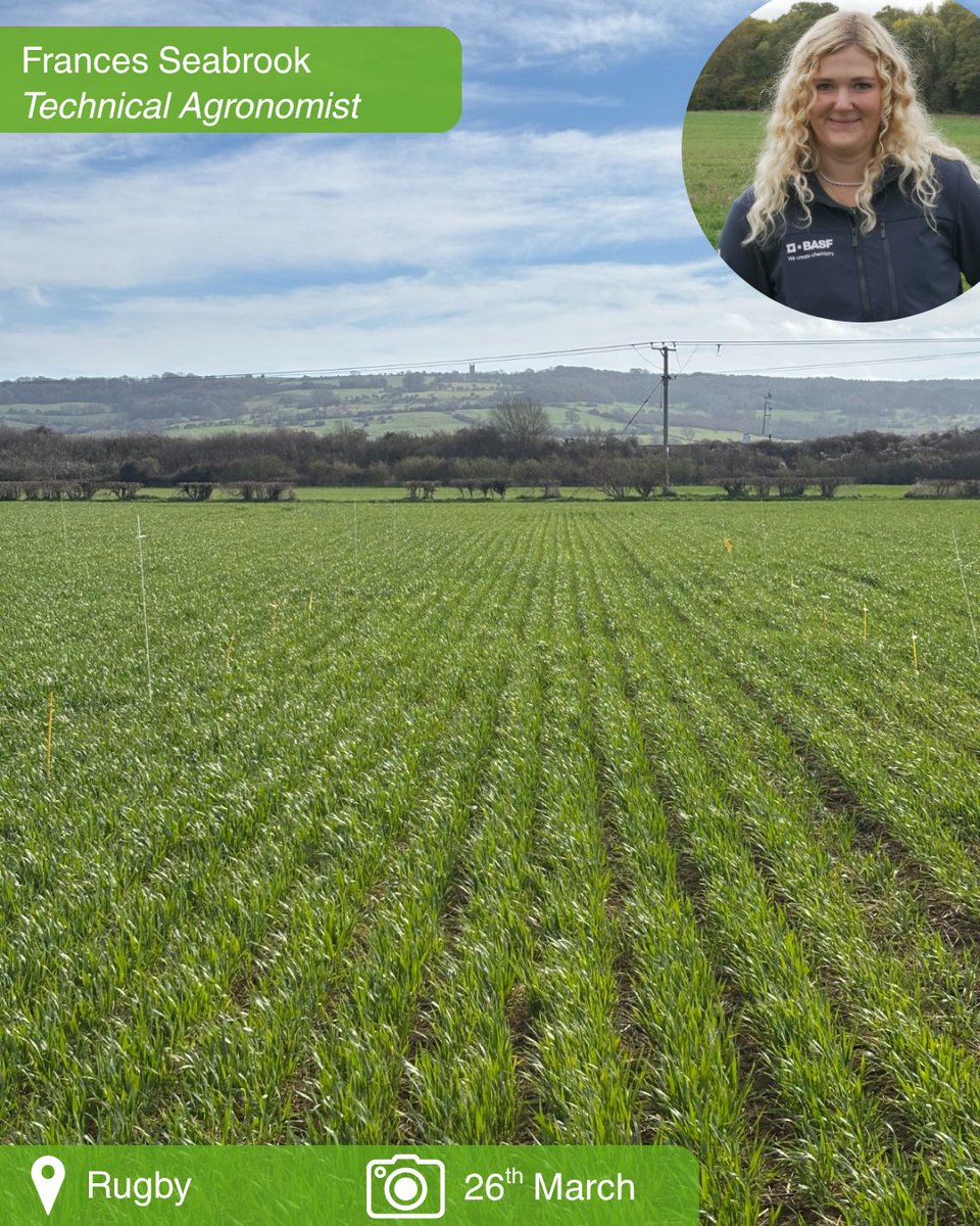 BASF Agricultural Solutions UK tweet media