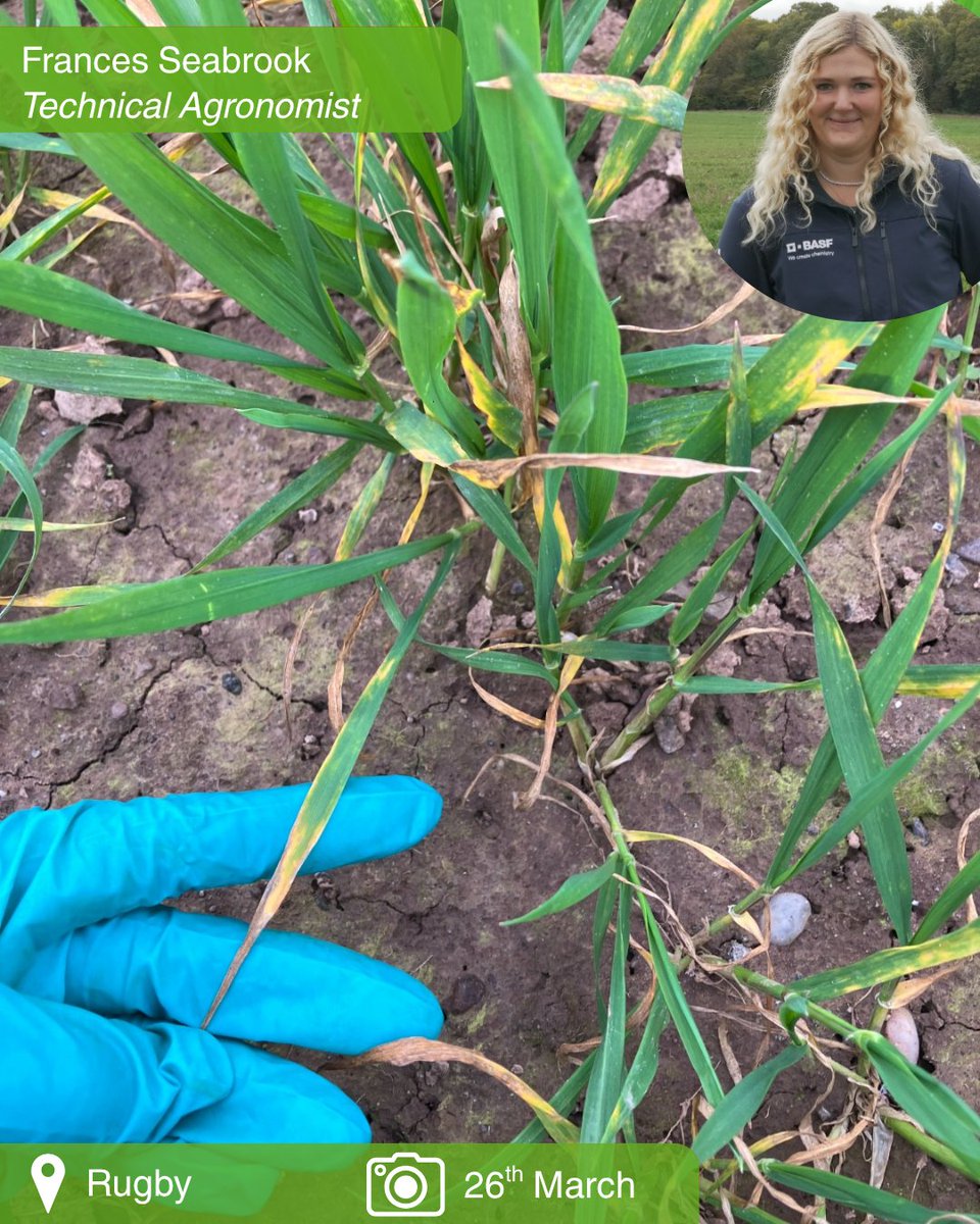 BASF Agricultural Solutions UK tweet media