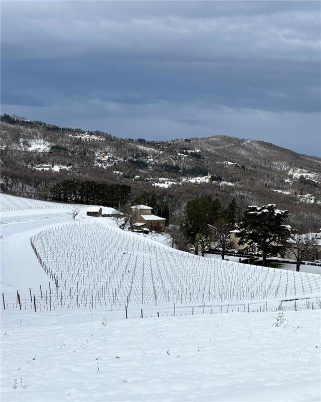 FrescobaldiVini's tweet photo. Nature is beautiful and surprising. Snow graced the vineyards and hills of Castello Pomino. It’s the magic of a landscape that never ceases to amaze.

#Frescobaldi #MarchesiFrescobaldi #ToscanaDiversity https://t.co/n2X08HMgWP