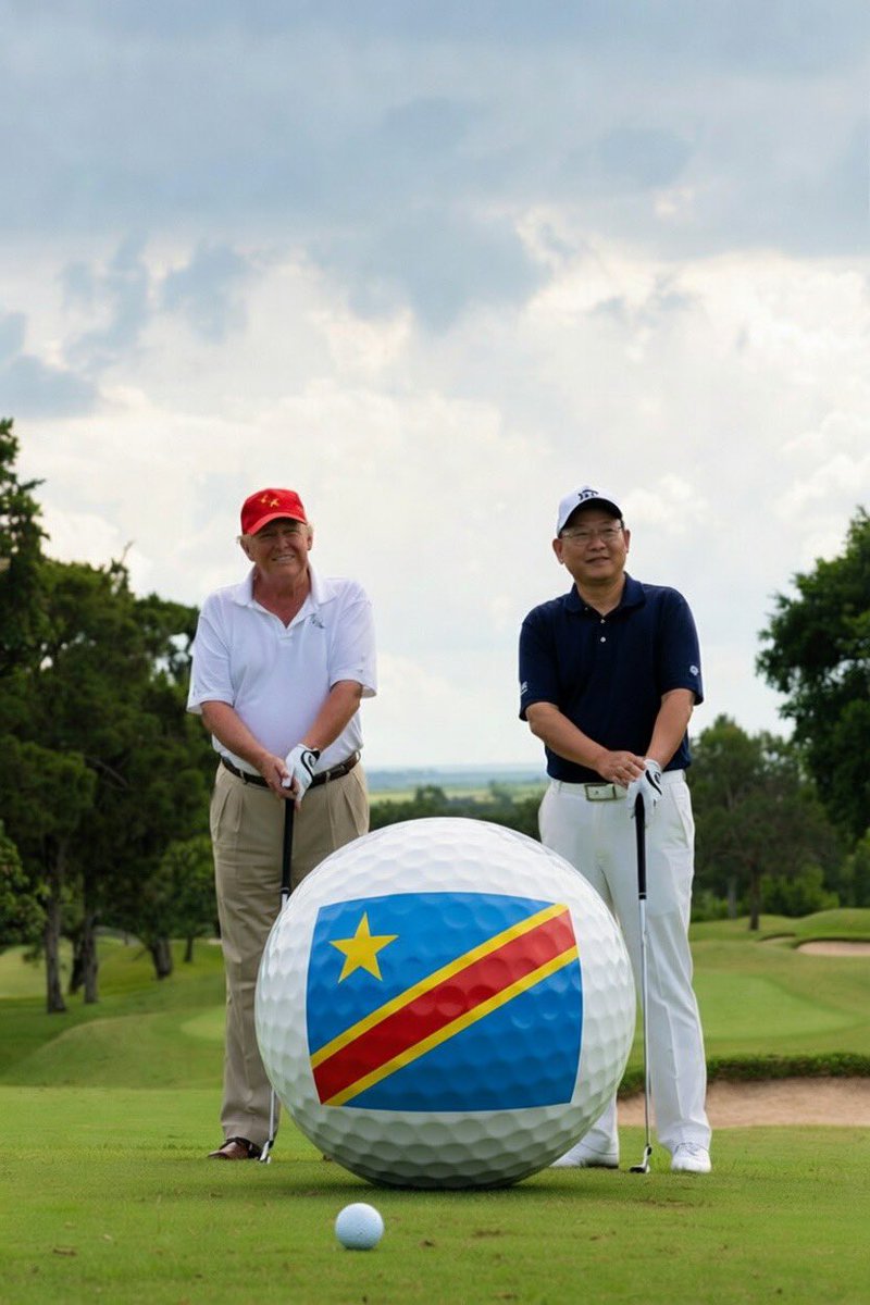 Dr. Dash tweet media