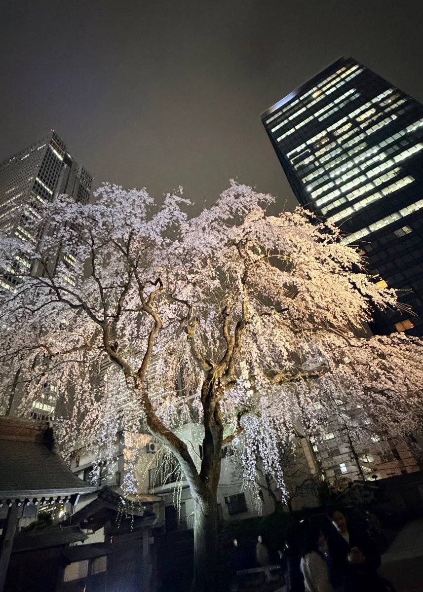 たいち tweet media