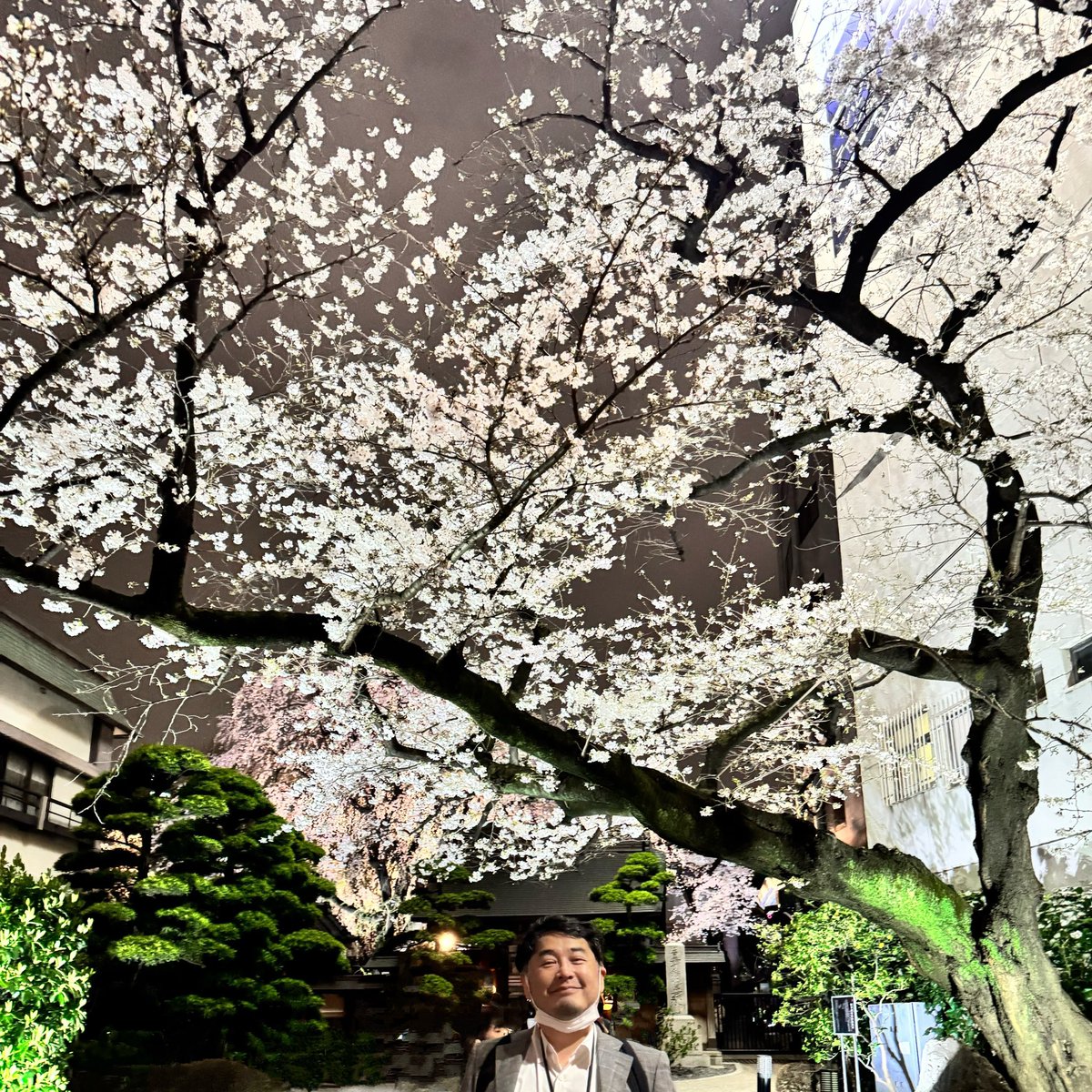 たいち tweet media