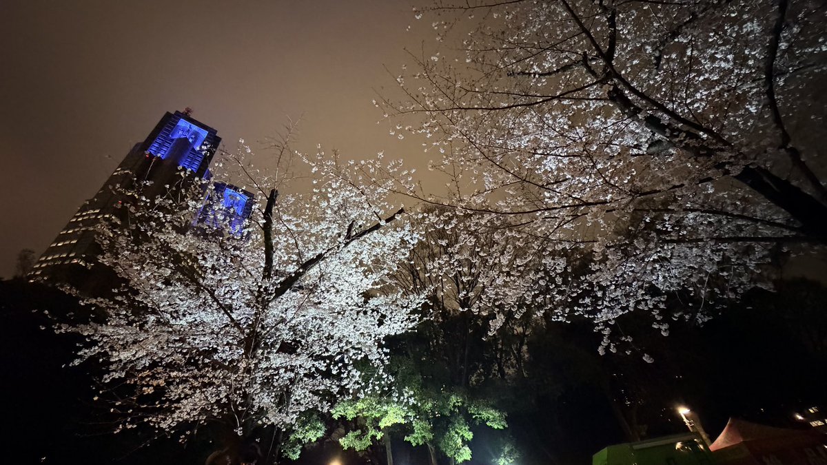 たいち tweet media