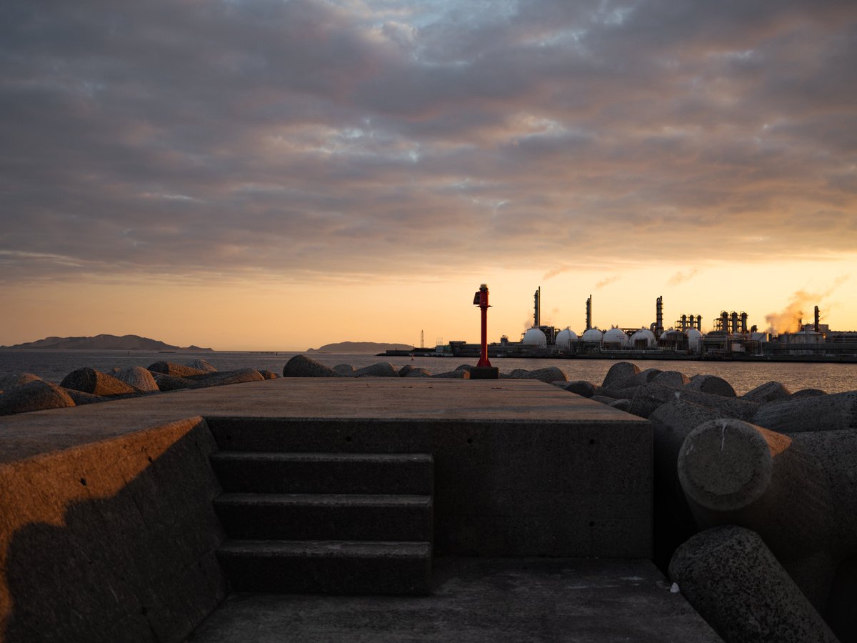 中林 直球(chokkyu) tweet media