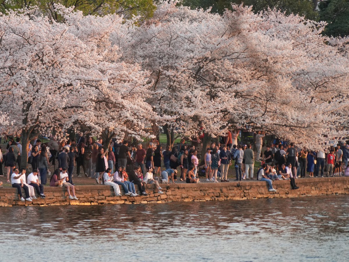 Capital Weather Gang tweet media