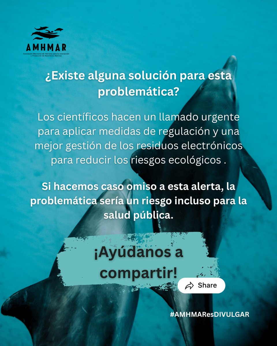 ¿Te has preguntado cómo impacta la basura de nuestros dispositivos electrónicos al mar?🌊 
¿Hasta dónde podrían llegar los teléfonos o las pantallas que usamos día a día?

#marinemammals #EducaciónAmbiental #Delfines #ciencia #AMHMAResDIVULGAR