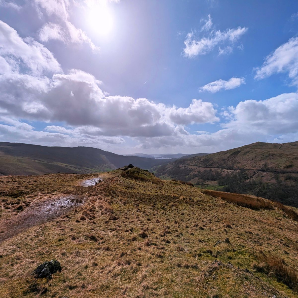 LakesPaul tweet media