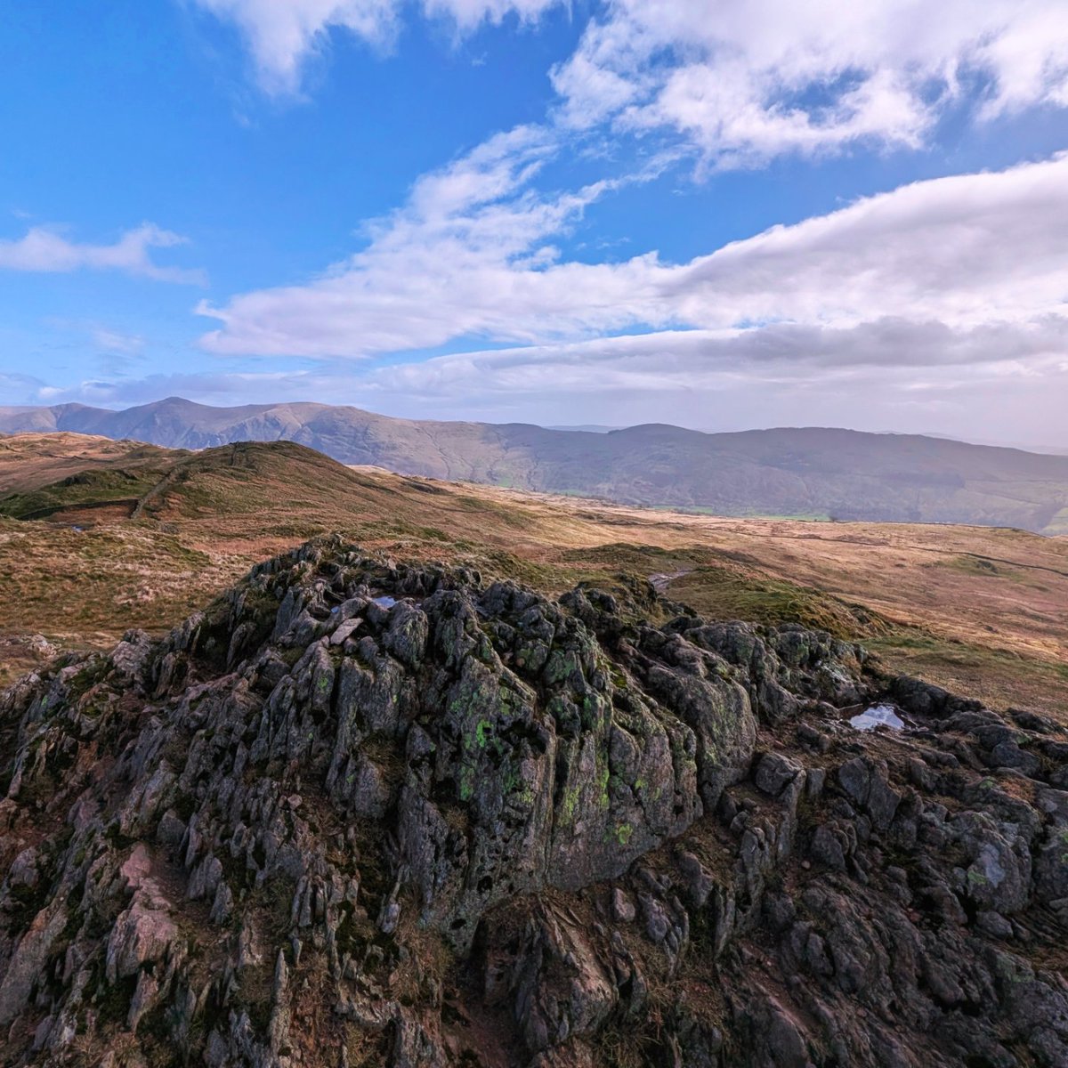 LakesPaul tweet media