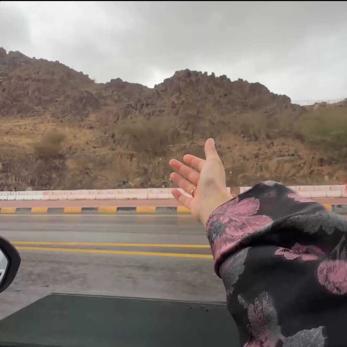 مــدى tweet media