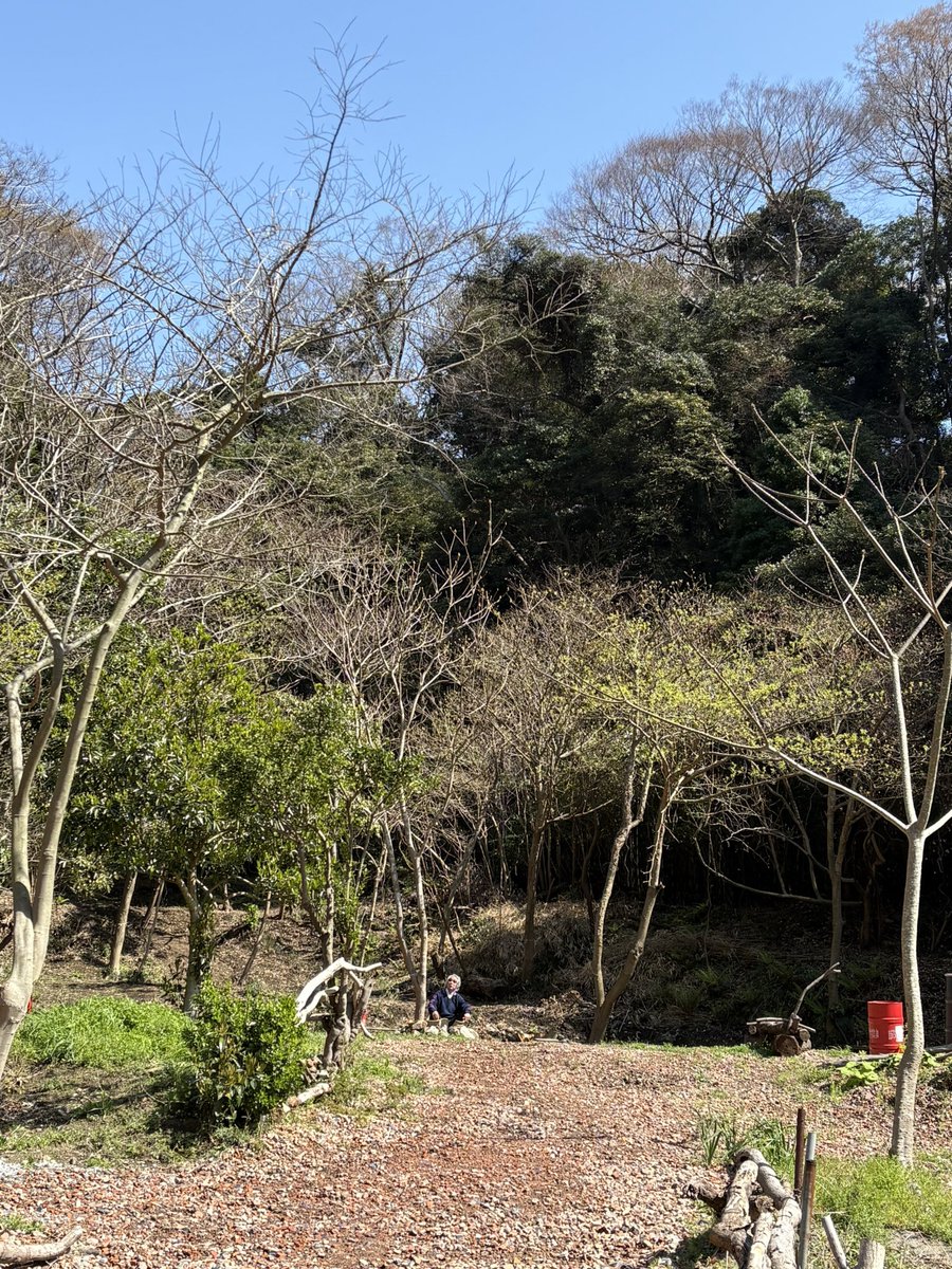 Dragonfly tweet media