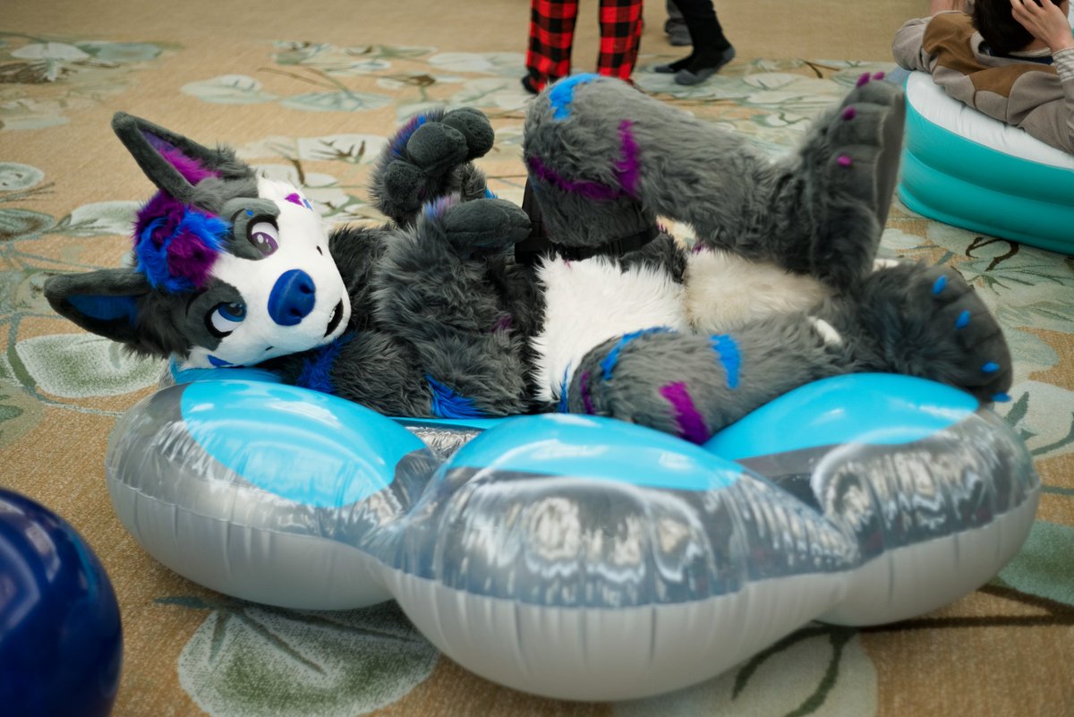 Nabi Wolfy 💙💜 🔜 FWA tweet media