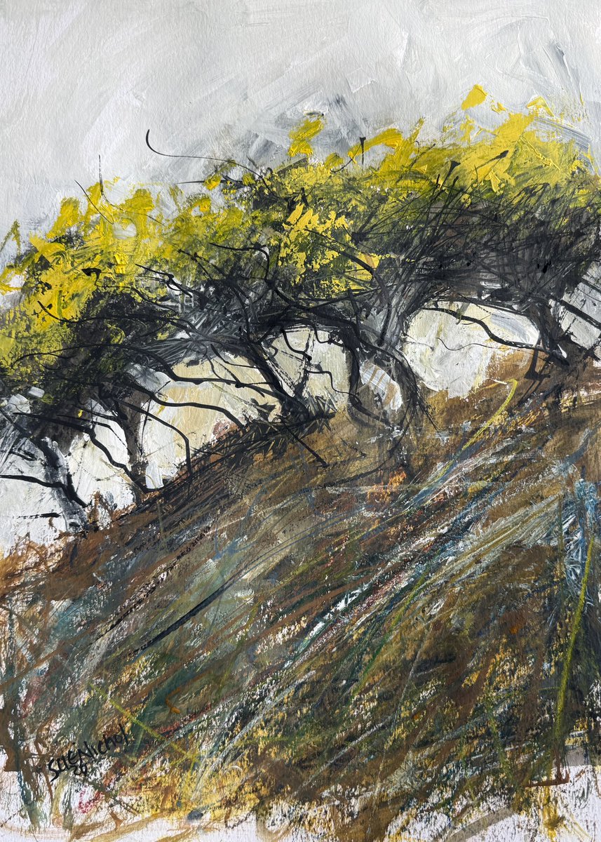 staithesartist's tweet photo. Trying out some of my #sketchbook images on paper. #affordableart Starting with my favourite subjects #Gorse #Furze #hawthorn #Artgraf blocks #casein #oils #mixedmedia https://t.co/rOIOzEnZAx