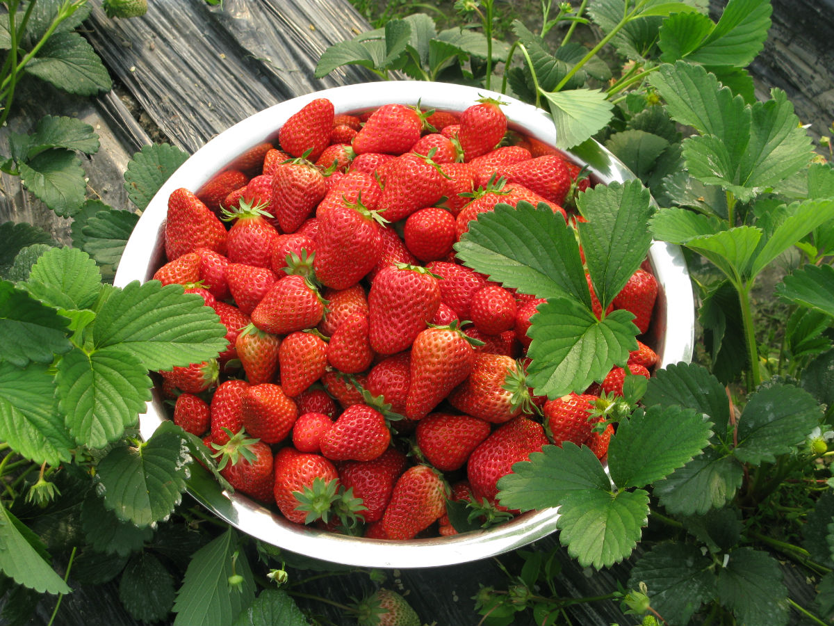 Montrel Houston tweet media