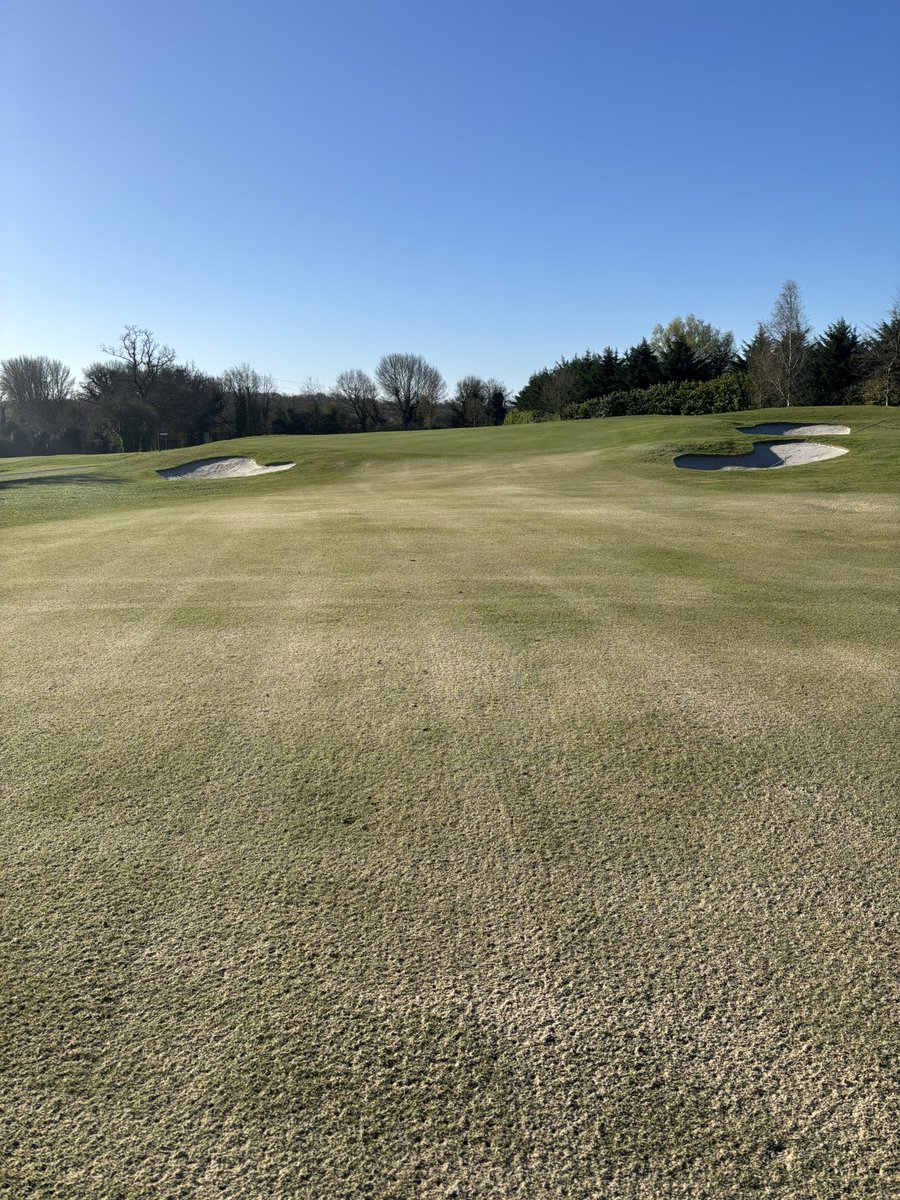 RobGroves78's tweet photo. The end of an extremely busy week, approaches had the same treatment as tees last week. Course tidied after high winds. Course set up for the weekend. All areas cut. Tees had a granular feed now the irrigation system is up and running. Greens next week. Have a good one 👍👊 https://t.co/lHSuXChlei