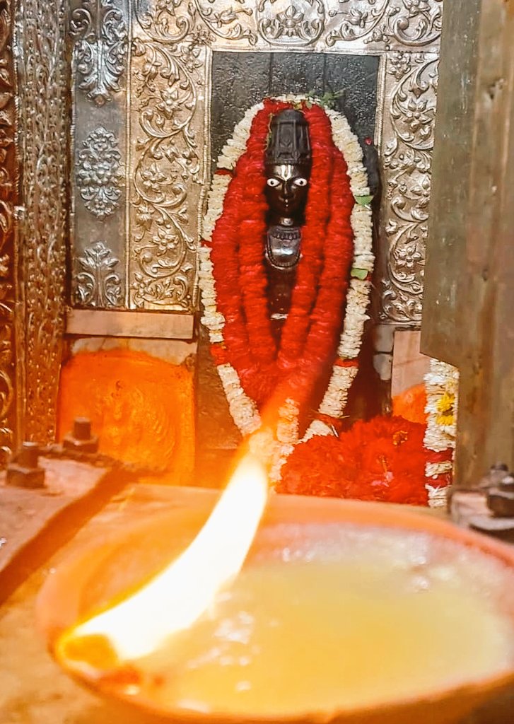 सा विद्या या विमुक्तये tweet media