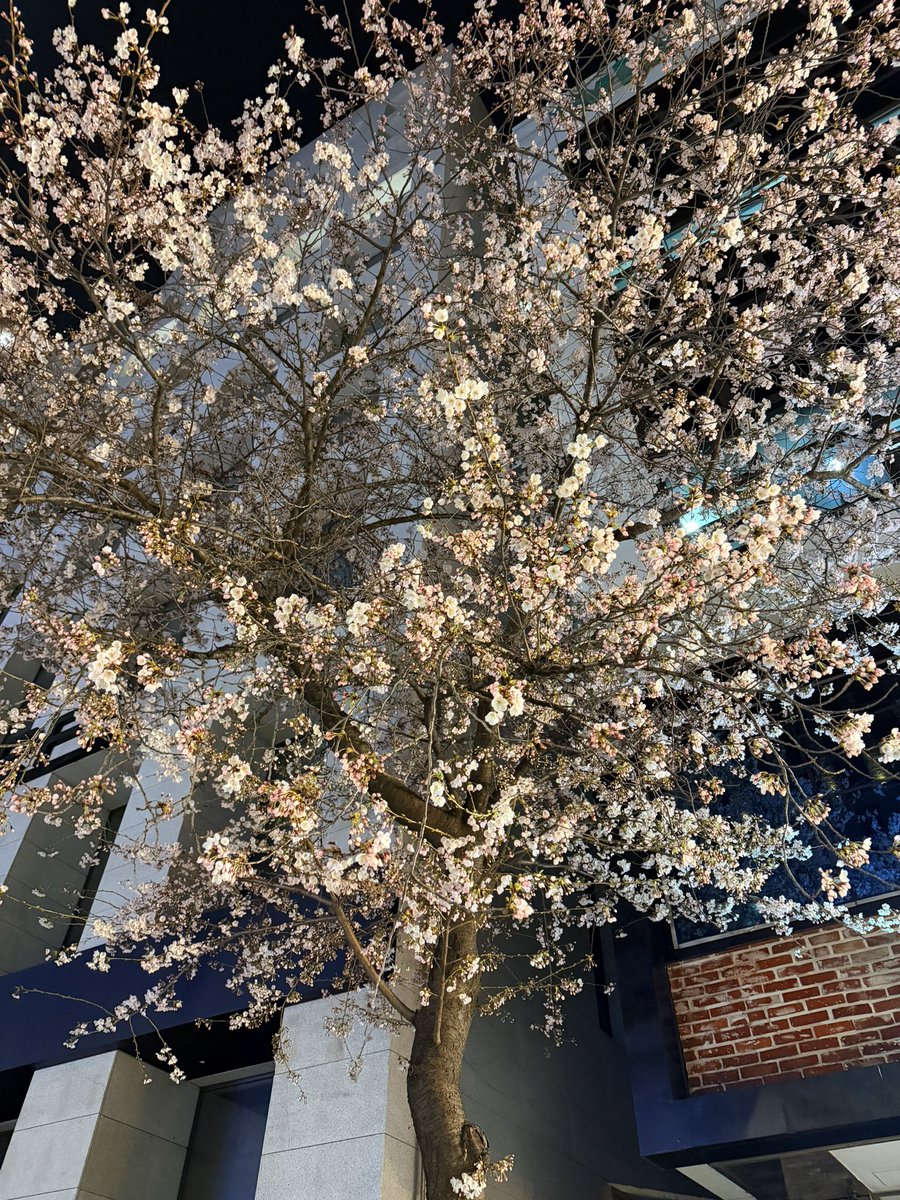 WinnerTanatat tweet media