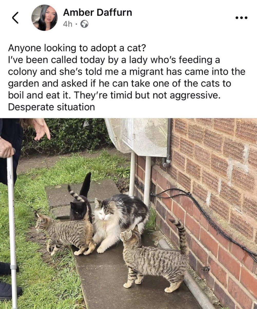 Queen Natalie tweet media