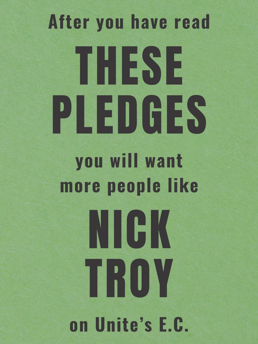 Nick Troy tweet media