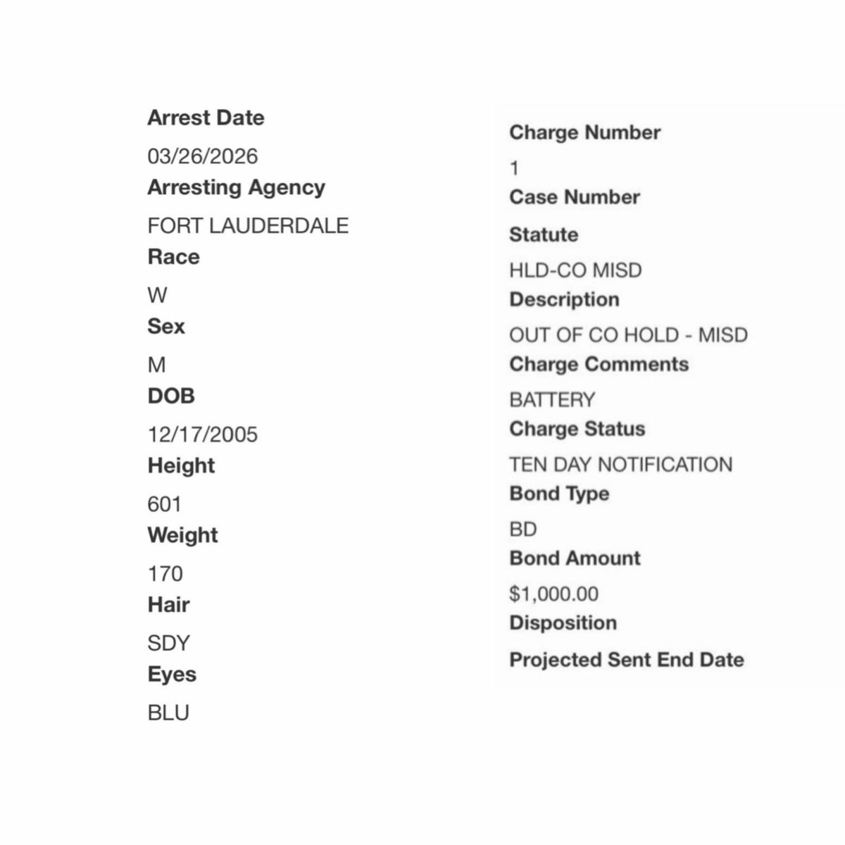 ElCe Thethoughone VwaRezoYo tweet media