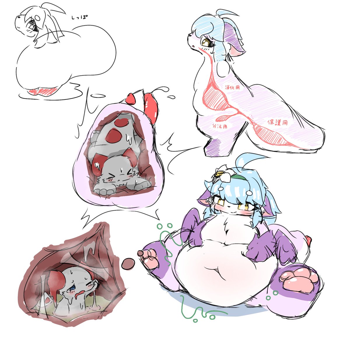 しゃこ tweet media