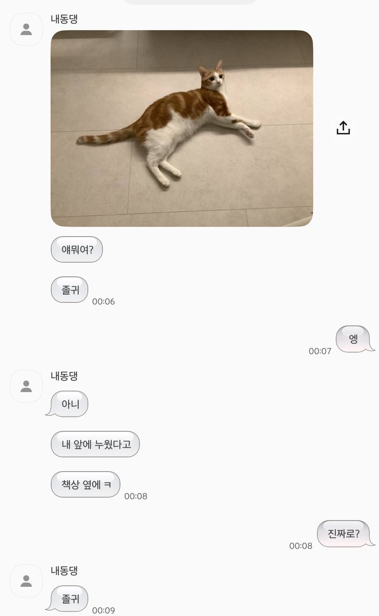 어제까지 나랑 사이 진짜 좋고 
막 아침에 깨워주고그랬는데 
지 최애 오자마자 갈아탐  

못된 고양이            👇