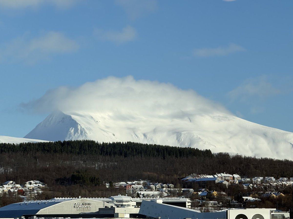 Andreas Gundersen tweet media