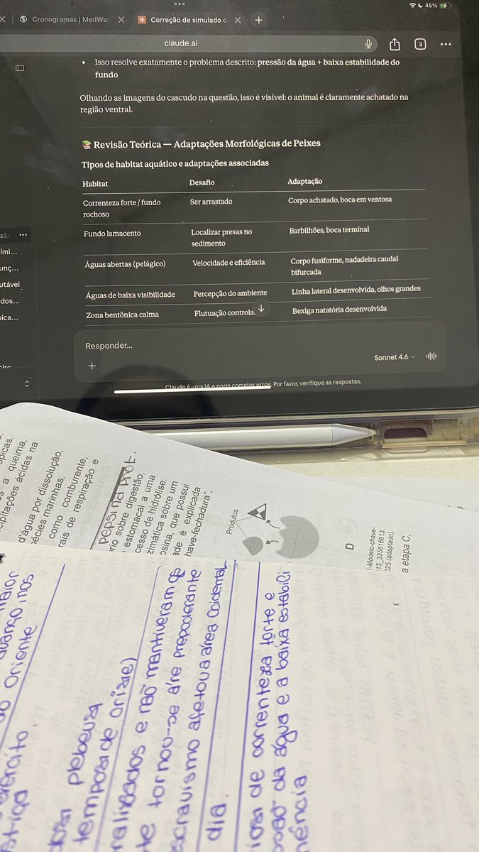 📮❤️🔥 tweet media