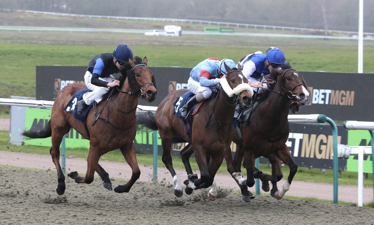 Lingfield Park tweet media