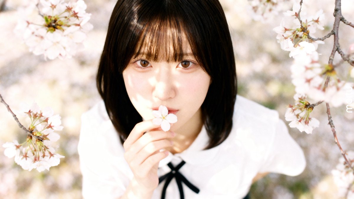 さくらの日だったのね
meitu様ありがとうございます♪