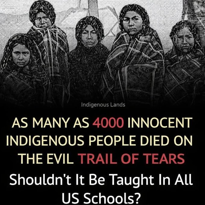 nativeamerican.usa tweet media