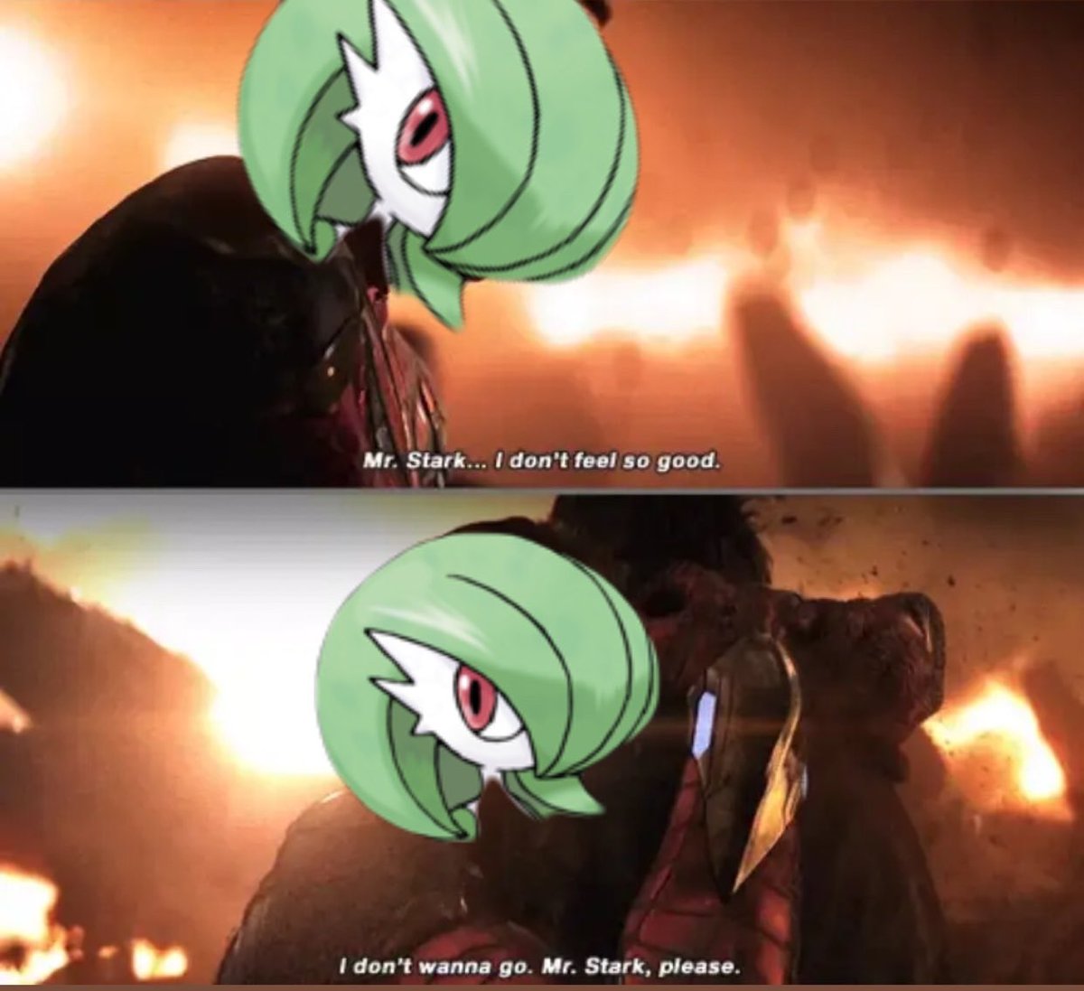 Raging Bolt tweet media